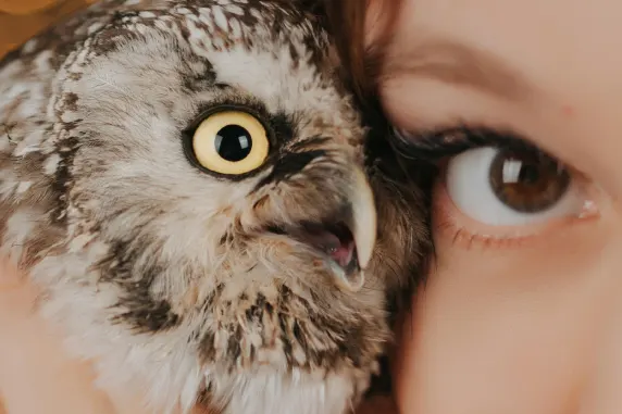 Casino AllStar Slots Stuðningur